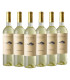 Vino Piattelli Torrontes Caja X6