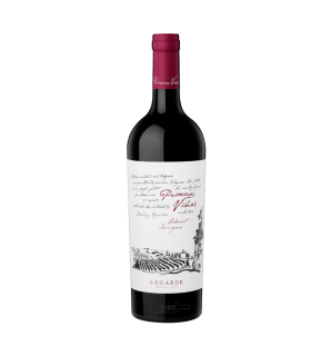 Vino Cabernet Sauvignon Lagarde Primeras Viñas Perdriel 750 Ml.